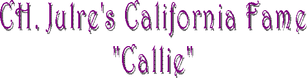 Julre's California Fame
"Callie"