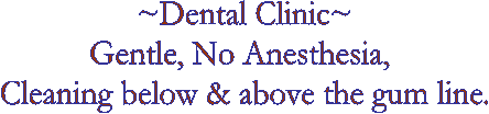 ~Dental Clinic~
Gental, No Anisthsia, 
cleaning below and above the gum line.